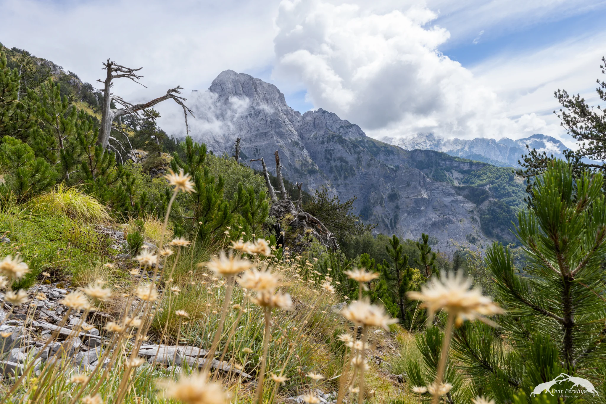 Mountain landscape, Grebaje Valley, Montenegro